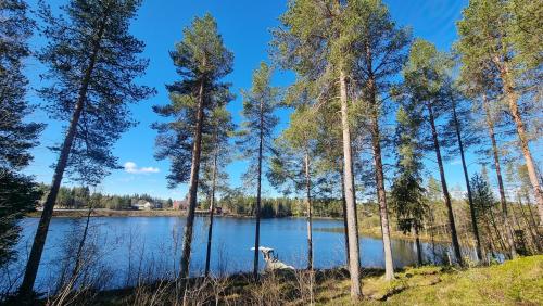 Blockhaus am See