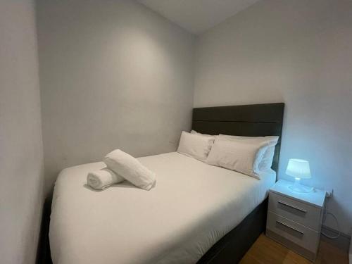 MONTHLY STAYS 1Bed Studio Serviced Apartment Free WIFI & NETFLIX Whitechapel London Perfect for Solo & Coupled Guests!, Londyn