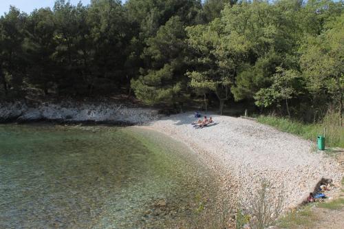 Apartment Pinezici 5464b - image 6