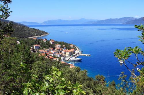 Apartments by the sea Valun, Cres - 8086