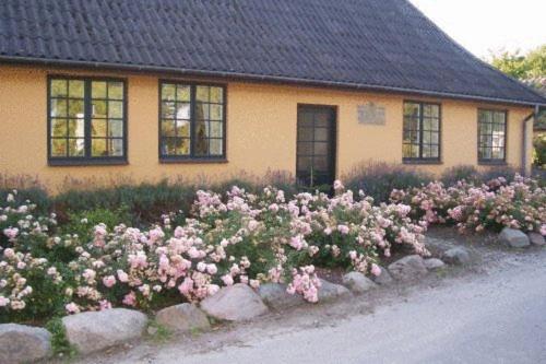  Dyrlev Bed & Breakfast, Pension in Præstø bei Præstø