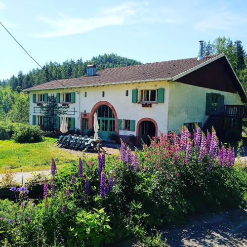 Domaine de Marmonfosse - Accommodation - Taintrux