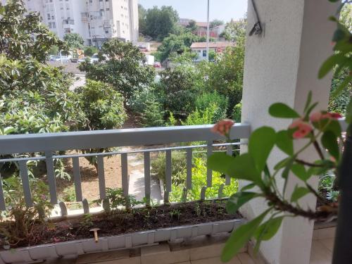 Apartment Buga 3