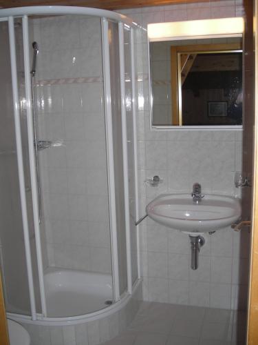 Chalet Spinne - image 6