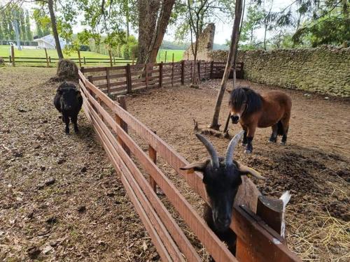 Château des Basses Roches (Chateau des Basses Roches) in 拉紹塞埃聖維克托