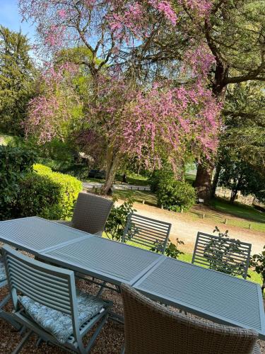 Château des Basses Roches (Chateau des Basses Roches) in 拉紹塞埃聖維克托