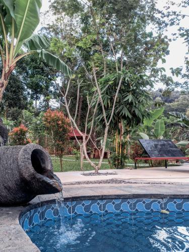 Swimming pool, VILLA OPA DOEL YOGYAKARTA near Pinus Pengger Nature Tourism