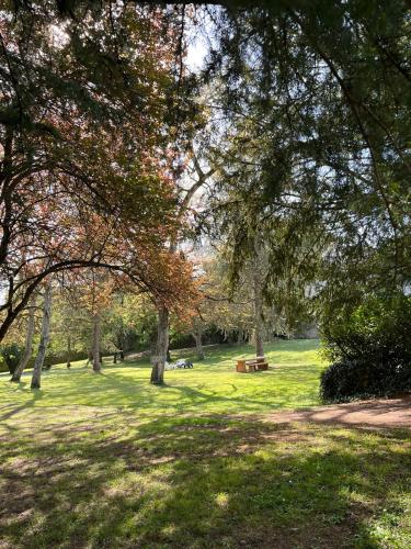 Château des Basses Roches (Chateau des Basses Roches) in 拉紹塞埃聖維克托