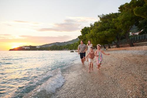 Bluesun Hotel Alga - image 9