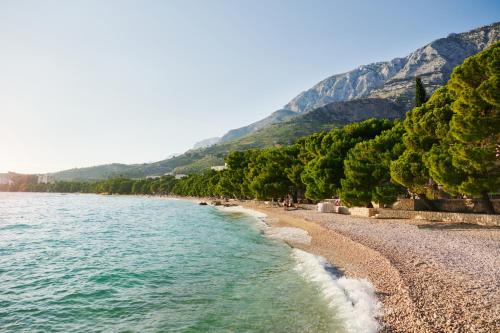 Bluesun Hotel Alga - image 4
