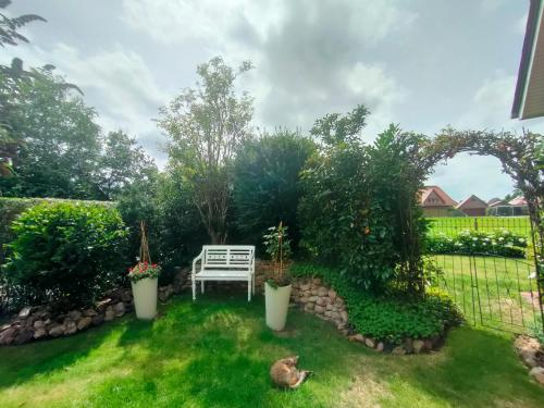 Luana`s White Cottage in Surwold