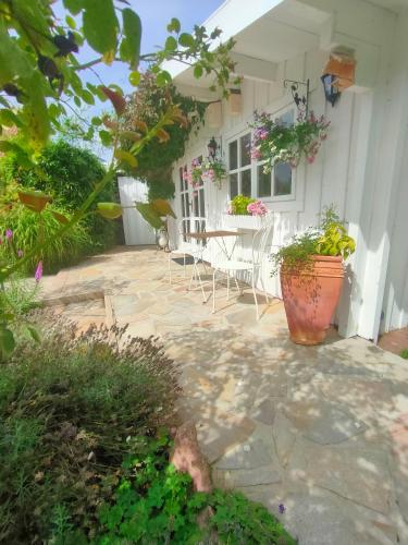 Luana`s White Cottage in Surwold