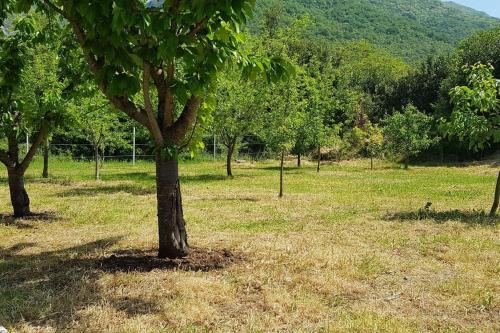 INTO THE GREEN in เซเลนิกา