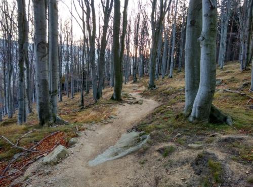 Apkārtne, Apartman BALA in Nove Mesto pod Smrkem