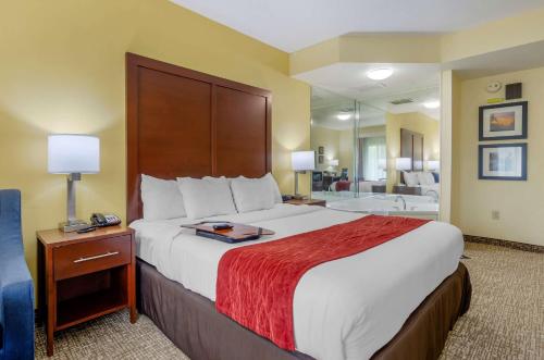 Comfort Inn & Suites Hillsville I-77 - image 6
