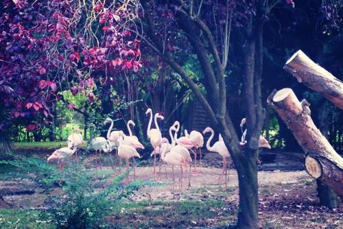 Ca'Bevilacqua Bed&Breakfast - image 6