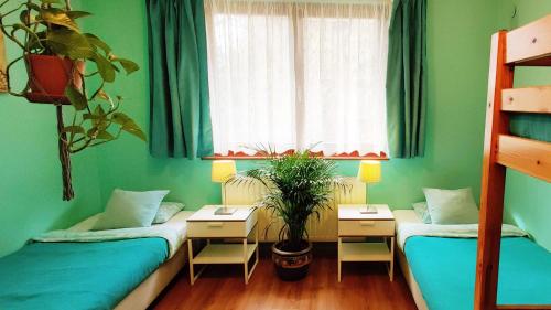  Shantee House in Budapest