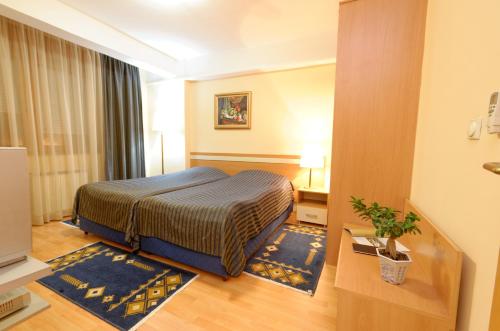 Hotel Tim's, Skopje (Foto 7)