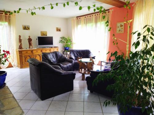 Skupni salon/TV območje, Chez l'Eveline Chambre Libellule in Les Bois