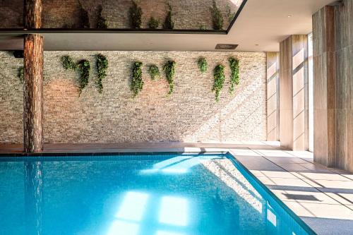 Mercure Han-sur-Lesse - image 6