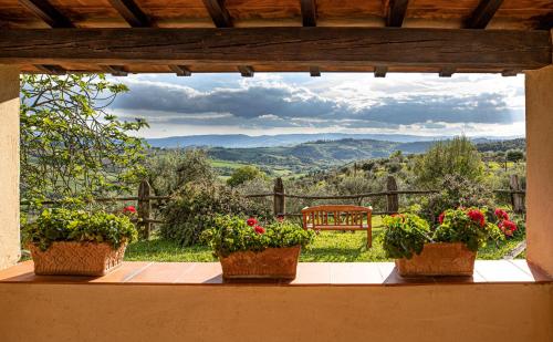 Book the Double Room with Patio Double Room with Patio