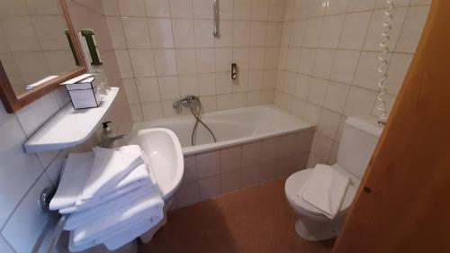 Alpenrose Kufstein - image 13