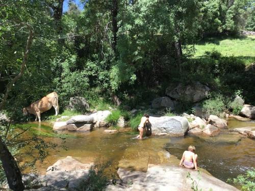 La casita Del Río.