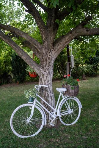 Vendégház a hegyen