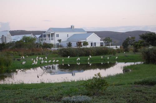 Ebbtide Loft on Thesen Island