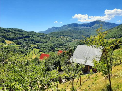 View, Fern Farm Eco Studio Apartment in Mojkovac