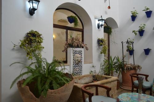 Létesítmények, Hotel Marisa near Régészeti Múzeum