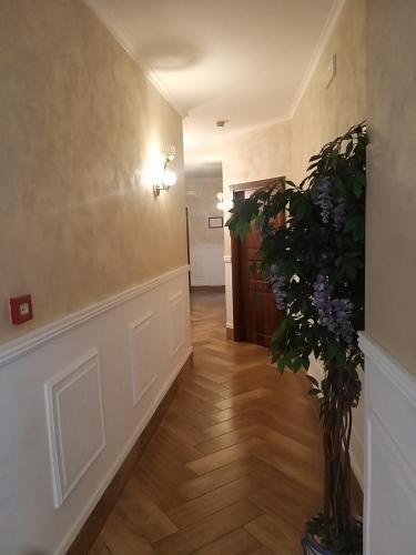 Hotel Kursaal - image 6