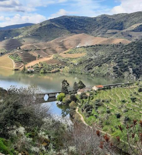 Quinta da Ferradosa Wines gîte à louer Vargelas