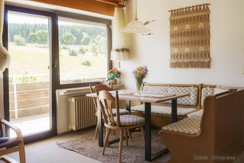 71 square meters Condo in Schwarzwald with beautiful mountain view, free wifi