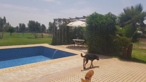 Gite avec piscine prive in Swiss City