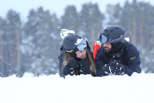 Snowflake Dag Hotel - image 8