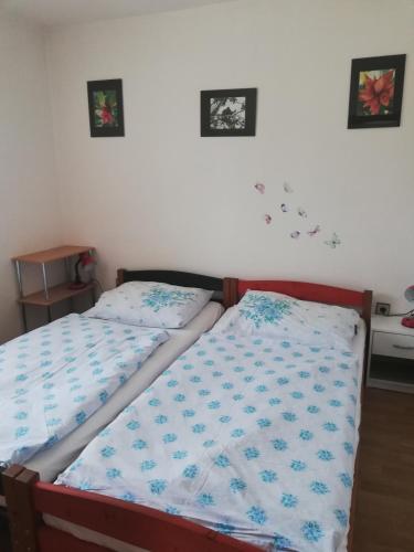 Domeček u Terčina Údolí - image 12