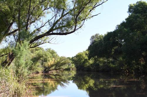 Verde Ranch RV Resort - image 8