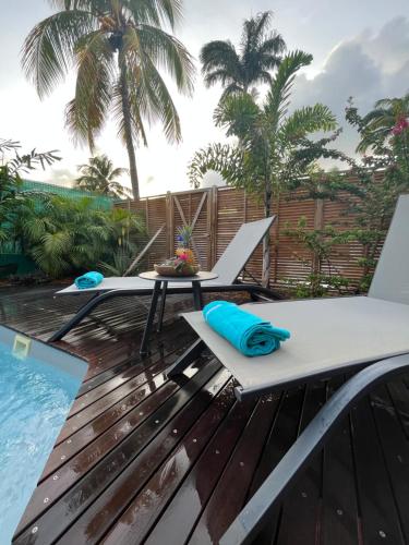 Gîte MAOS piscine et terrasse privée photo 3