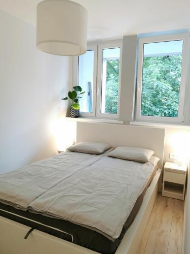 Nowoczesny apartament w sercu Wrocławia, Breslau (Foto 8)