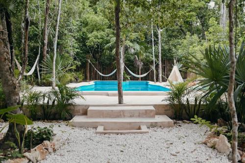 . Lunita Jungle Experience