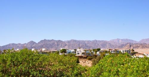 Eden Rock Hotel Namaa Bay - image 5