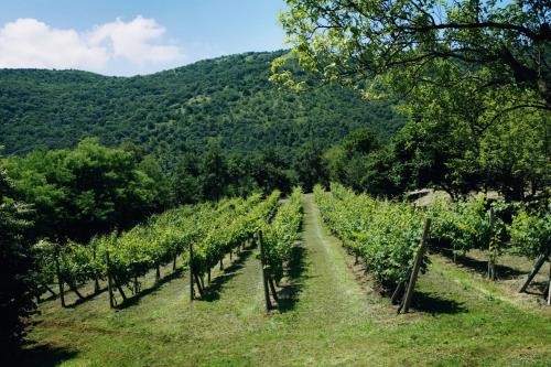 Le Favole Agriturismo