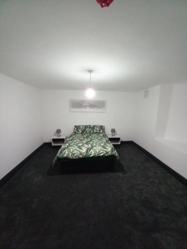 modern beautiful fully serviced apartment near Cannon Hill Park