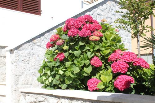 Apartments with a parking space Mali Losinj (Losinj) - 8024 - image 9