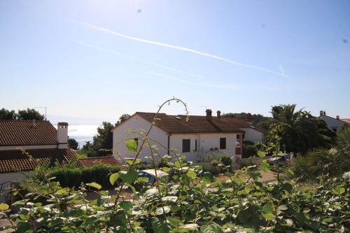 Apartments with a parking space Mali Losinj (Losinj) - 8024 - image 13