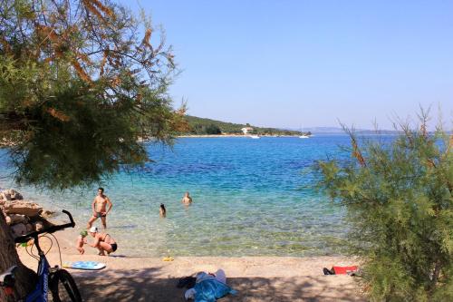 Apartments by the sea Zaglav, Dugi otok - 8145