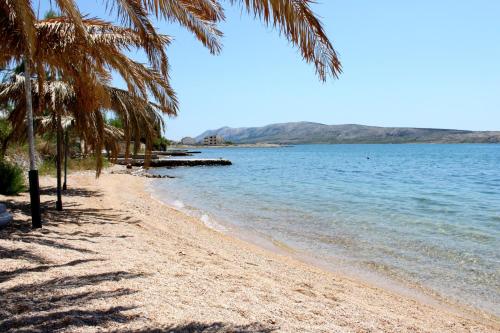 Apartments by the sea Vidalici Pag - 9415 - image 3