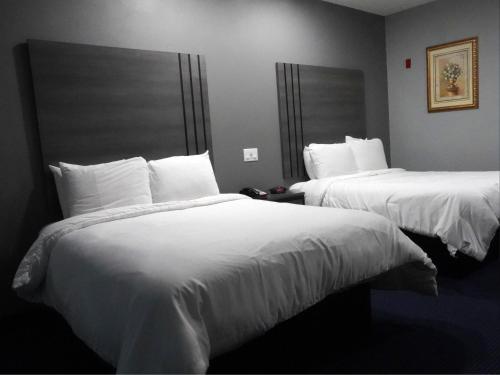 Americas Best Value Inn and Suites Bush International Airport