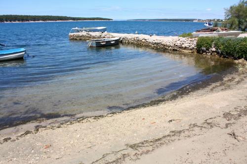  Apartments with a parking space Barbat, Rab - 11472 in Rab